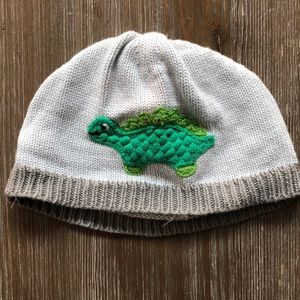 Boys dinosaur hat